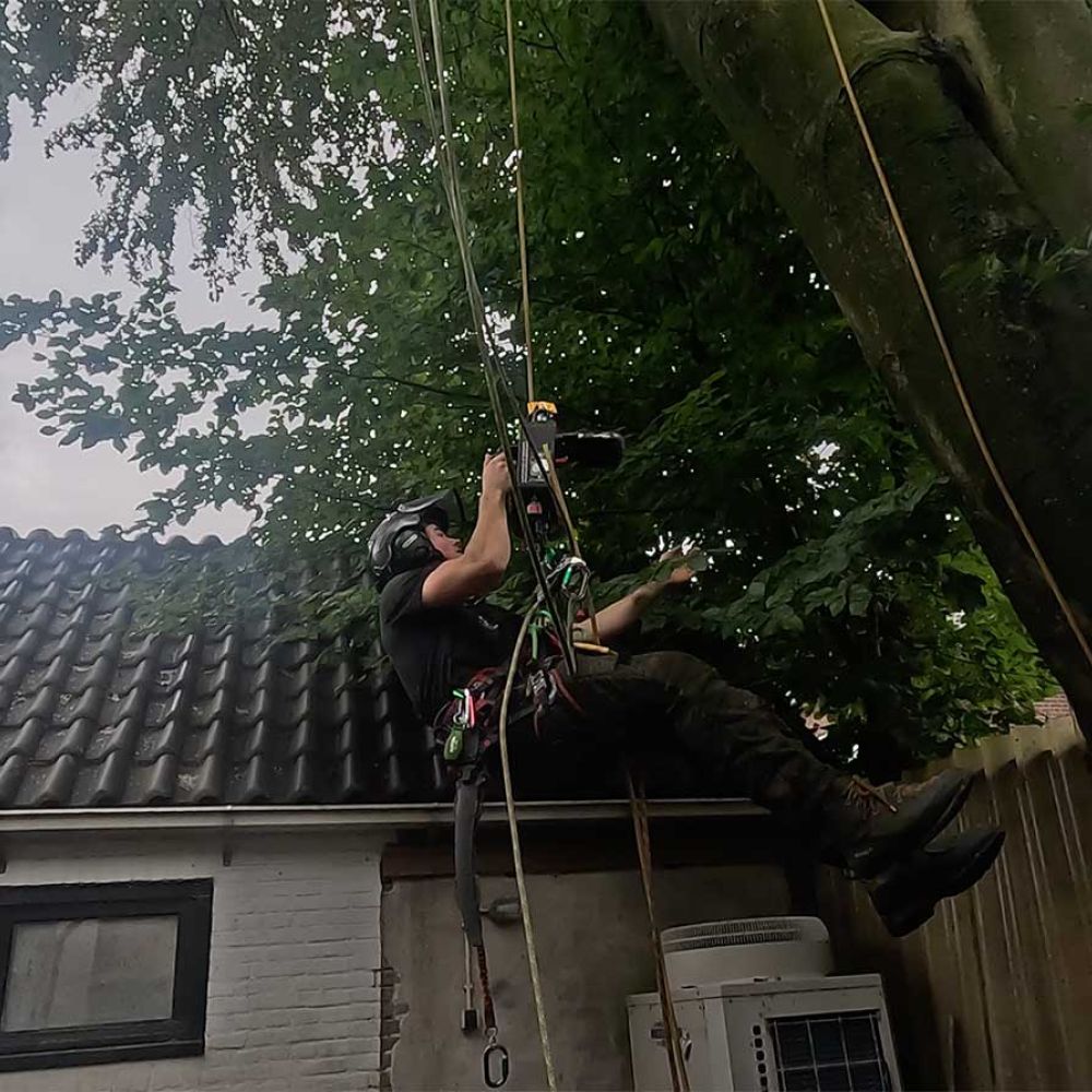 Boomverzorging kappen van bomen door Hans Boogaard boomverzorging