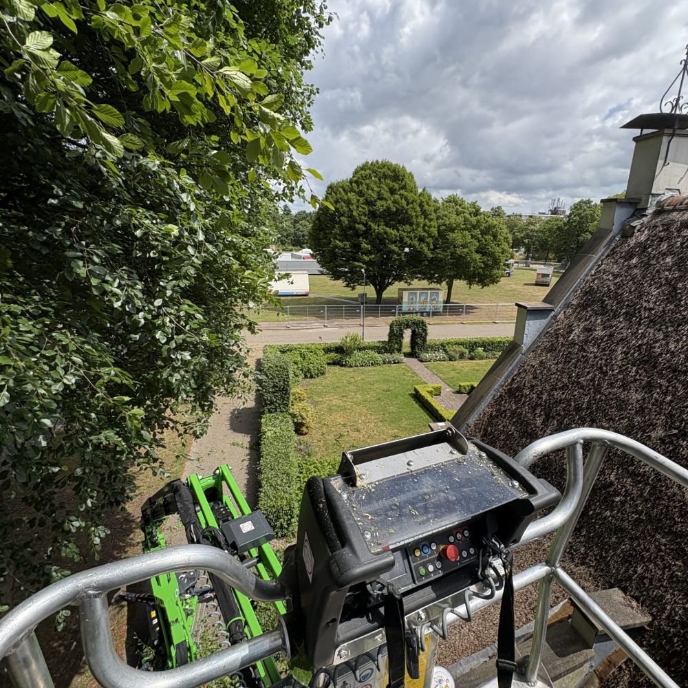 Boomverzorging kappen van bomen door Hans Boogaard boomverzorging