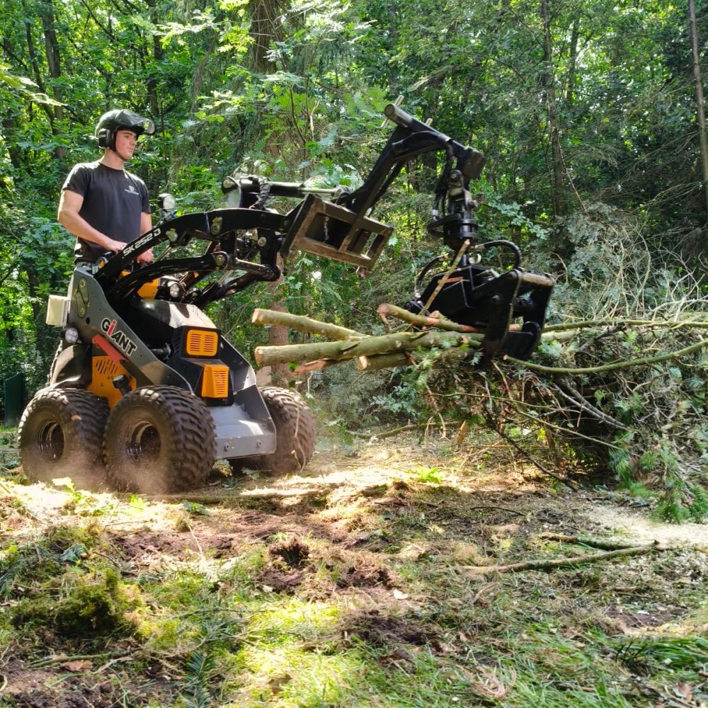 Hans Boogaard Boomverzorging aan het werk