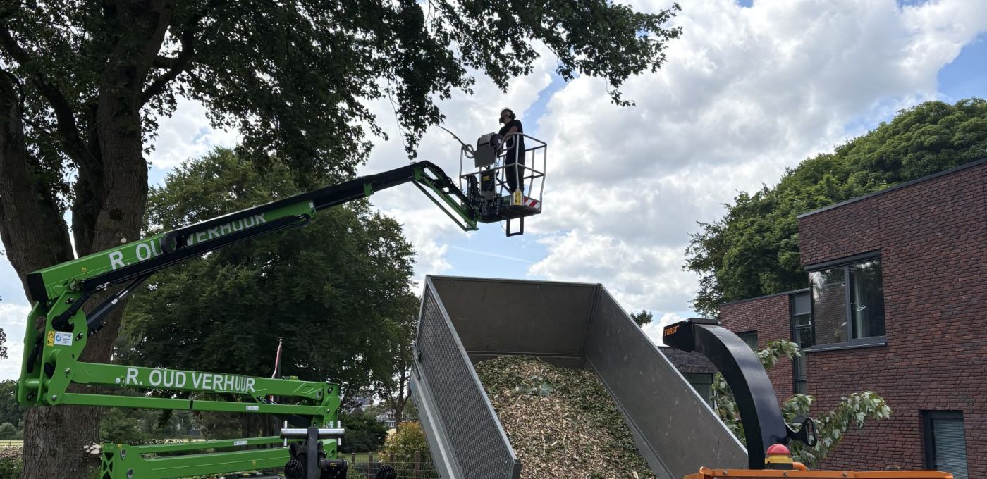 ETW-gecertificeerd boomverzorger: wat betekent dat voor uw bomen?