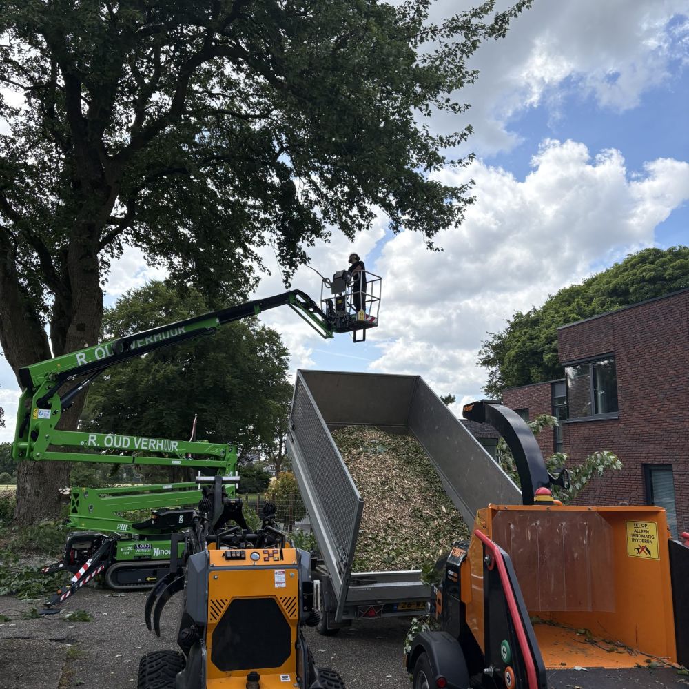 Boomverzorging kappen van bomen door Hans Boogaard boomverzorging