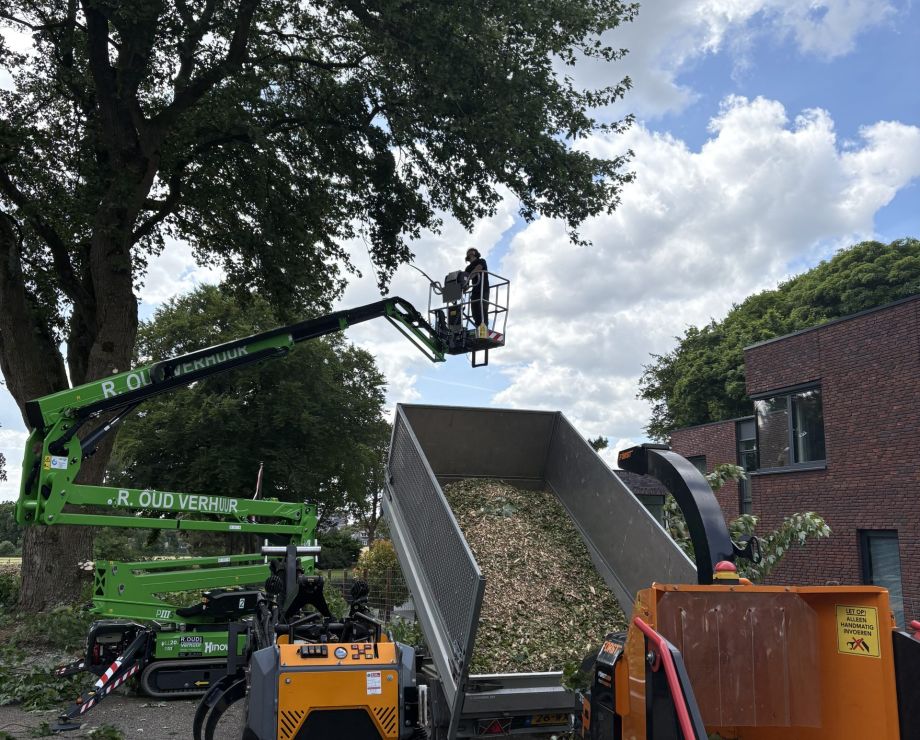 ETW-gecertificeerd boomverzorger: wat betekent dat voor uw bomen?