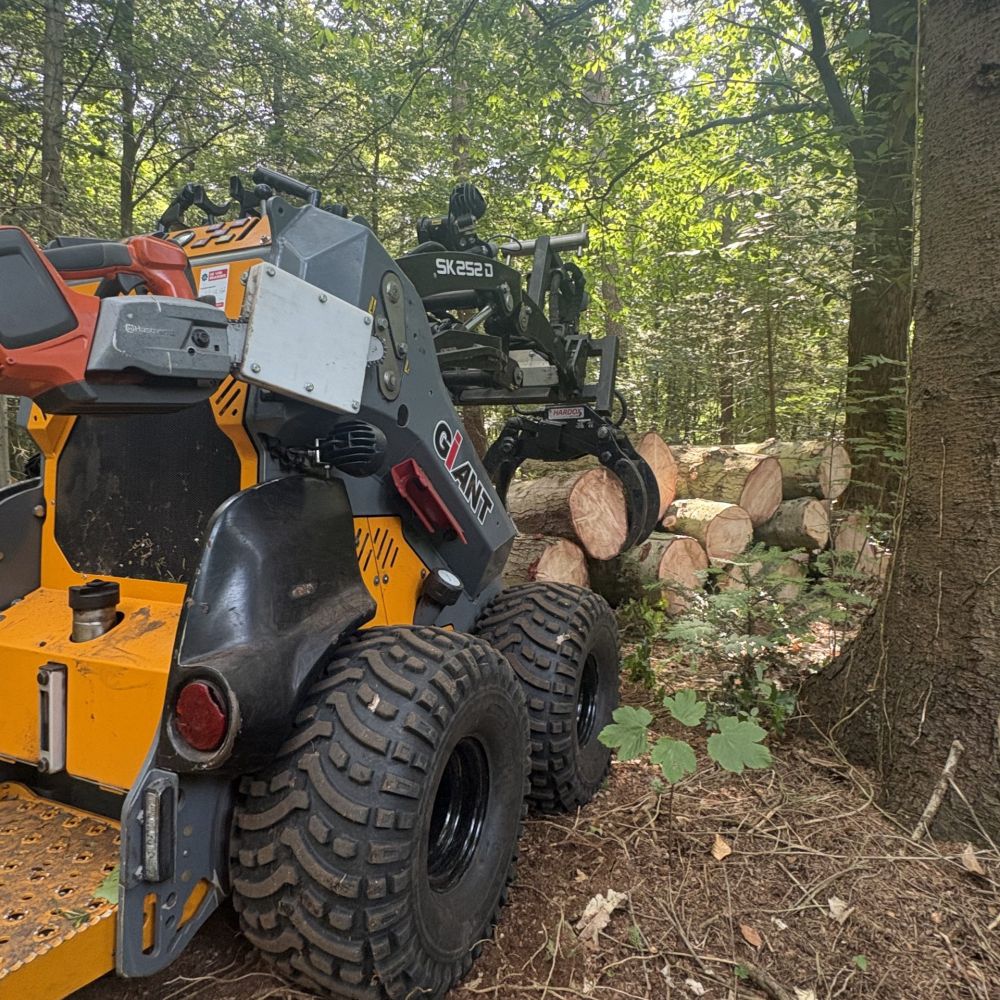 Hans Boogaard Boomverzorging aan het werk