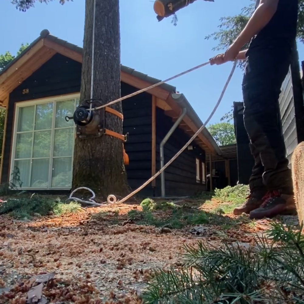 Boomverzorging kappen van bomen door Hans Boogaard boomverzorging