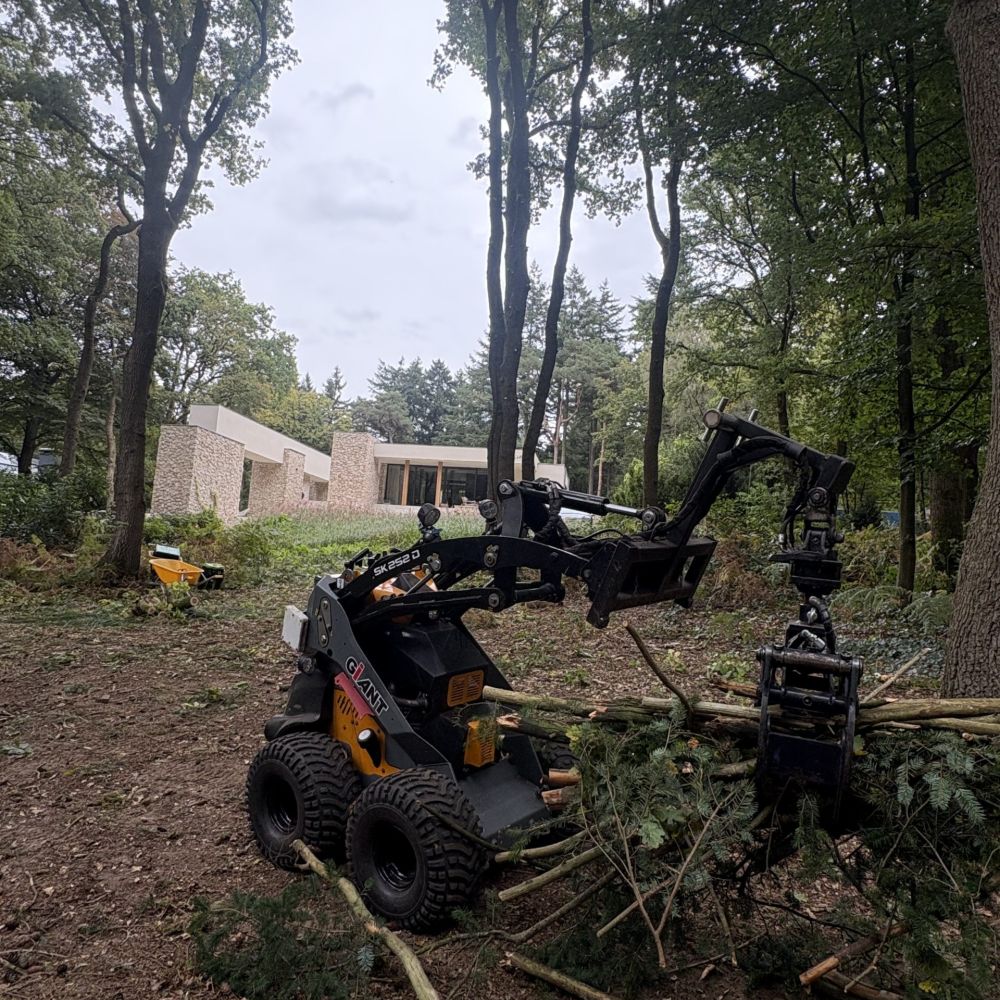 Boomverzorging kappen van bomen door Hans Boogaard boomverzorging